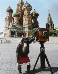 Photos taken by Russian chimpanzee Mikki sold at $76,000 at Sotheyby's auction in London 